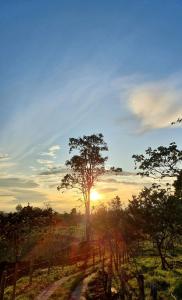 Imagen de la galería de MOCANA BIOHOTEL, en Circasia 13 fotos más