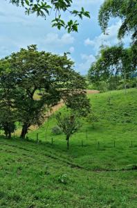 Imagen de la galería de MOCANA BIOHOTEL, en Circasia