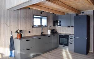 kuchnia z urządzeniami ze stali nierdzewnej i drewnianym sufitem w obiekcie 3 Bedroom Lovely Home In Sjusjøen w mieście Sjusjøen