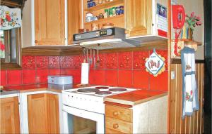 a kitchen with a stove and a red tiled wall at Pet Friendly Home In Sälen With Sauna in Lindvallen