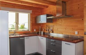 a kitchen with wooden walls and stainless steel appliances at 3 Bedroom Cozy Home In Sint-Annaland in Sint Annaland
