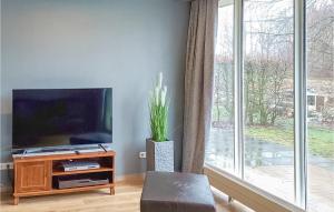 sala de estar con TV de pantalla plana junto a una ventana en Amazing Home In Vlagtwedde With 4 Bedrooms, Sauna And Wifi, en Vlagtwedde