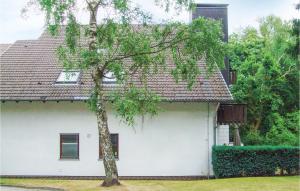 戈斯拉爾的住宿－Beautiful Apartment In Goslar With Kitchen，前面有一棵树的白色房子