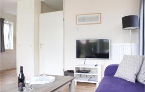 a living room with a purple couch and a tv at Awesome Home In Vlagtwedde With Wifi in Vlagtwedde