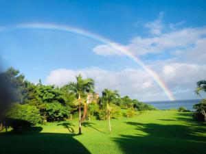 een regenboog boven een groen veld met palmbomen bij Tsundara Beach Retreat in Ishigaki Island