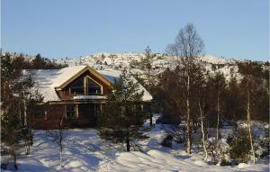StakkelandにあるBeautiful Home In Kvinlog With House A Mountain Viewの雪に覆われた家