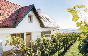 a house with a view of a vineyard at Ferienhaus Eisenberg in Eisenberg an der Pinka +23 photos