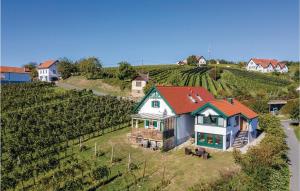 an aerial view of a house in a vineyard at Ferienhaus Eisenberg in Eisenberg an der Pinka