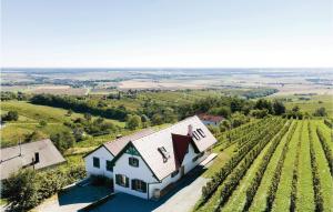 an aerial view of a house and a vineyard at Ferienhaus Eisenberg in Eisenberg an der Pinka