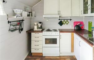 Kuhinja oz. manjša kuhinja v nastanitvi Gorgeous Home In Hovland With Wifi