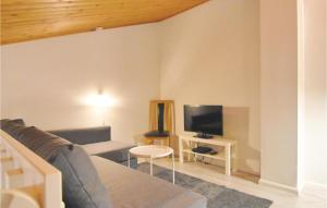 a living room with a couch and a television at Cozy Home In Sysslebck With Kitchen in Branäs