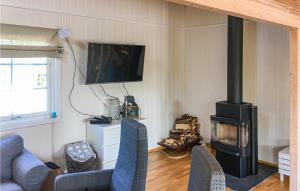 Телевизор и/или развлекательный центр в Stunning Home In Skjeberg With House A Panoramic View