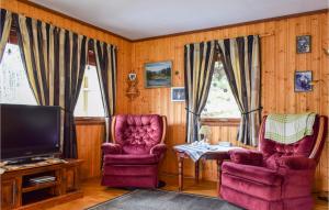 een woonkamer met 2 stoelen en een televisie bij Beautiful Home In Bygland With 3 Bedrooms in Bygland