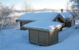 a smallshed covered in snow with snow on top at Holiday Home Flå Øvre Reinsjøfjell in Stamn +15 photos
