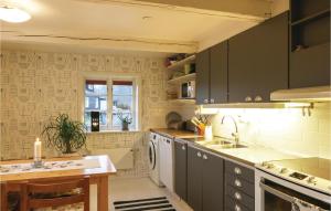una cocina con armarios grises y fregadero en Gorgeous Home In stra Snnarslv With Kitchen, en Östra Sönnarslöv
