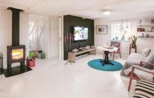 a living room with a fireplace and a tv at Gorgeous Home In stra Snnarslv With Kitchen in Östra Sönnarslöv