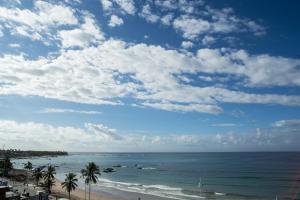 uma vista para o oceano com palmeiras na praia em Plattinum Hotel em Salvador