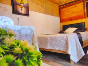 um quarto com uma cama e uma cadeira num quarto em Room in Guest room - Nice Quadruple Cabin Equipped And Very Central em Zacatlán