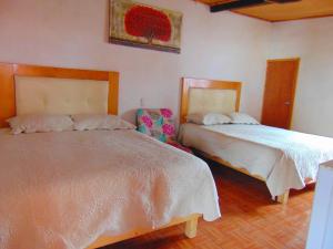 um quarto com 2 camas e uma cadeira em Room in Guest room - Nice Quadruple Cabin Equipped And Very Central em Zacatlán
