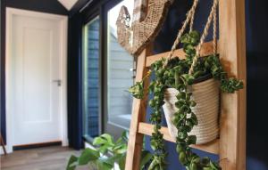a plant in a hanging basket in a hallway at Stunning Apartment In Schagerbrug in Schagerbrug +10 photos