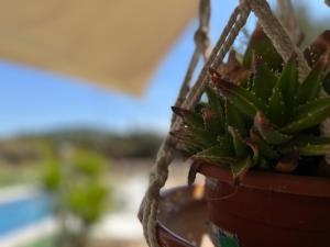 Fotografie z fotogalerie ubytování La Casita (Villa cerca de Peñíscola y Morella) v destinaci Sant Mateu