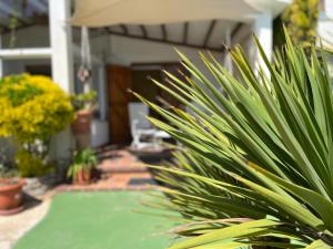 Zahrada ubytování La Casita (Villa cerca de Peñíscola y Morella)