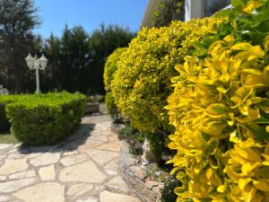 Zahrada ubytování La Casita (Villa cerca de Peñíscola y Morella)