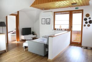 TV a/nebo společenská místnost v ubytování Lusht'n apartma