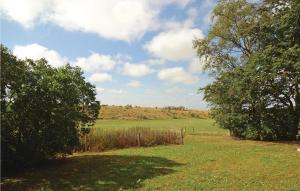 a field with two trees and a hill in the distance at Holiday Home Tomelilla 03 in Bollerup
