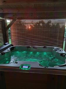 bañera de hidromasaje con agua verde en una habitación en le Jacaranda du Guillaume, en Le Guillaume
