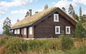 an old log house with a grass roof at 4 Bedroom Beautiful Home In Trysil in Trysil