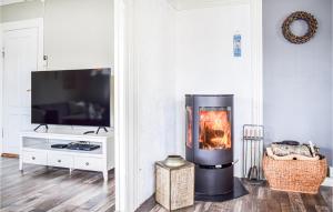 a fireplace in a living room with a tv at Lovely Home In Hebnes With Wifi in Soland