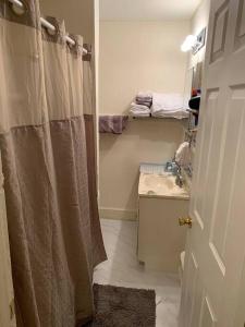 La salle de bains est pourvue d'un rideau de douche et d'un lavabo. dans l'établissement 3 bedroom one bathroom townhouse - 20B Elm street Charlton Heights WV 25040, à Glen Ferris