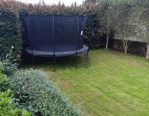 オークランドにあるHarbour View Cottageの庭の芝生に座る椅子