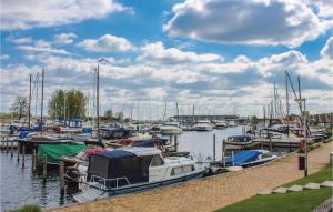 a bunch of boats docked in a harbor at Bungalowpark Wijdland - Aak in Bunschoten
