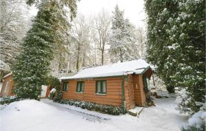a cabin in the woods in the snow at 1 Bedroom Nice Home In Crinitzberg in Bärenwalde