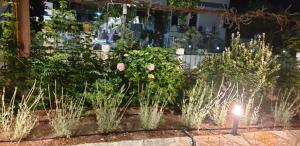 Fotografie z fotogalerie ubytování Sivotahomes-family v destinaci Sivota