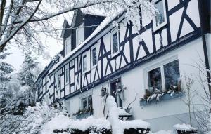 バート・ベルレブルクにあるAwesome Apartment In Bad Berleburg-bergh, With 2 Bedrooms And Wifiの雪に覆われた窓と木々の建物