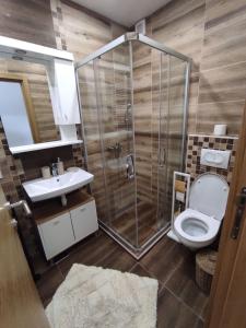 ein Bad mit einer Dusche, einem WC und einem Waschbecken in der Unterkunft Imperia M Zlatibor in Zlatibor