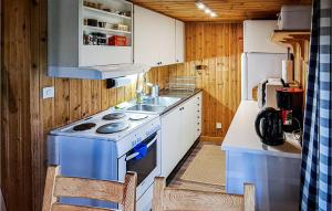 Ett kök eller pentry på Gorgeous Home In Srna With Sauna