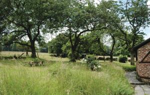 a field of tall grass with trees and a building at La Maison D'albertine in Briscol