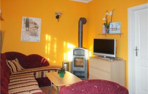 ein Wohnzimmer mit einem Kamin und einem TV in der Unterkunft Stunning Apartment In Fuhlendorf With 2 Bedrooms And Wifi in Fuhlendorf