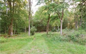 un camino de tierra a través de un bosque con árboles en Two-Bedroom Holiday Home In Brakne Hoby, en Smedamåla
