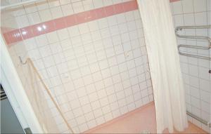 a shower in a bathroom with a white tiled wall at Amazing Apartment In Sysslebck With House A Mountain View in Branäs