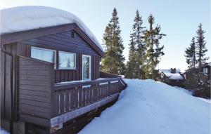 SjusjøenにあるAwesome Home In Sjusjen With 3 Bedrooms, Sauna And Wifiのギャラリーの写真