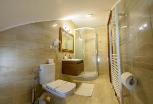 a bathroom with a toilet and a shower and a sink at Pensiunea Boculeț Gura Humorului in Gura Humorului