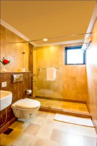 a bathroom with a shower and a toilet and a sink at Vikram Vintage Inn in Nainital