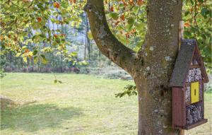 a bird house on a tree in a park at Ferienhaus 8 In Kirchheim in Kirchheim +25 photos