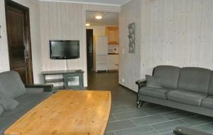 ヘムセダールにあるCozy Apartment In Hemsedal With House A Mountain Viewのリビングルーム(ソファ、テーブル、テレビ付)