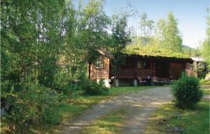 Photo de la galerie de l'établissement Amazing Home In Vrliosen With House A Mountain View, à Bandaksli